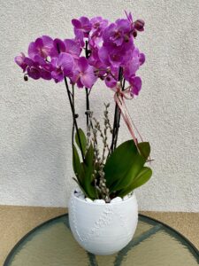 csodalatos_orchidea_beultetes