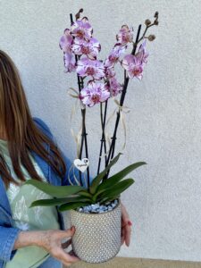 orchidea_ajandekba